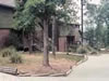 Dogwood Hills at Alpine Bay